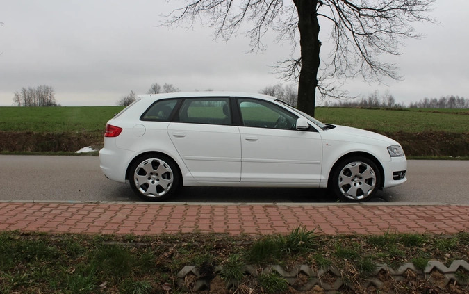 Audi A3 cena 28900 przebieg: 200000, rok produkcji 2009 z Czarna Woda małe 172